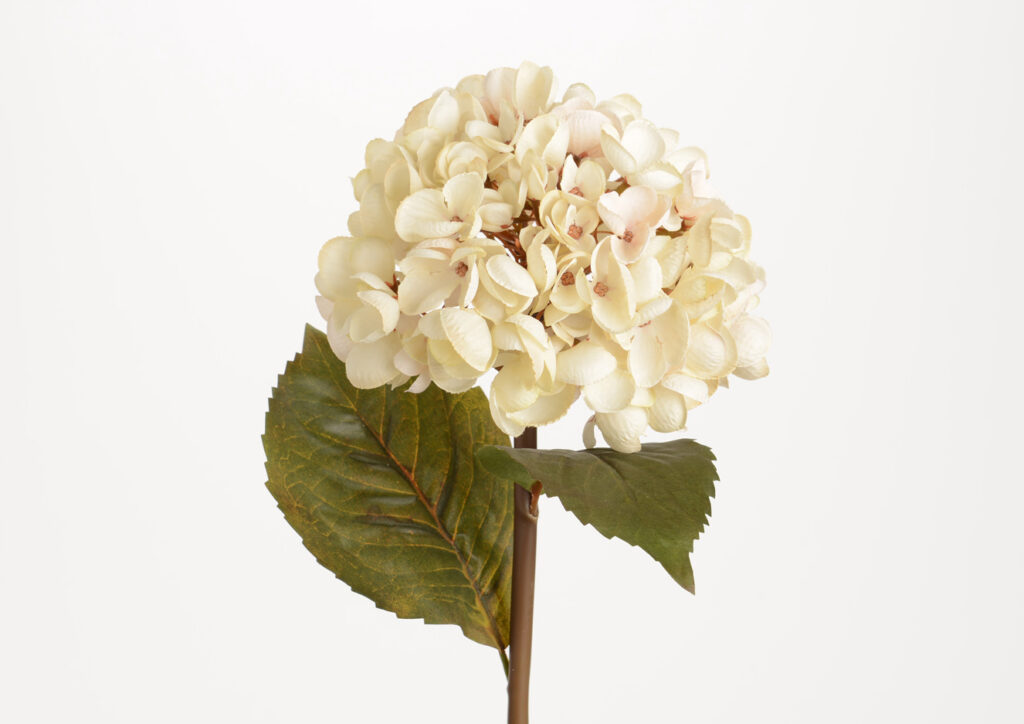 Hortensia Chic 2 Tonos Verde | Muebles Vesta